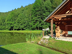 Rybník Bušá