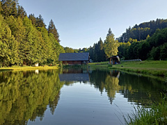 Rybník Bušá