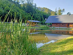Rybník Bušá