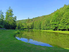 Rybník Bušá