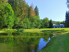 Rybník Bušá