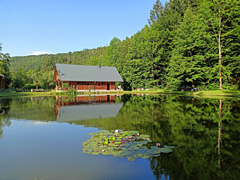 Rybník Bušá