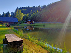 Rybník Bušá